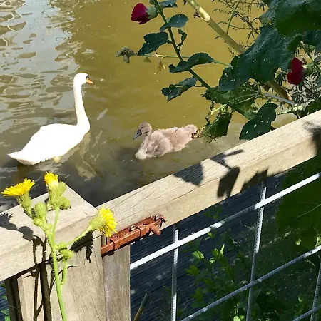 Дом отдыха The Waterside *